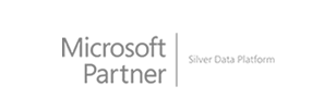 Microsoft Partner